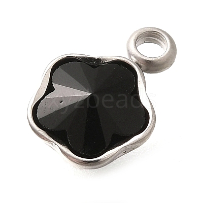 304 Stainless Steel Pendants STAS-Q346-02P-05-1