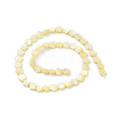Natural Freshwater Shell Dyed Beads Strands SHEL-K001-001C-1