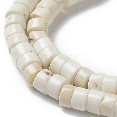 Natural Howlite Beads Strands G-E604-A01-C-1