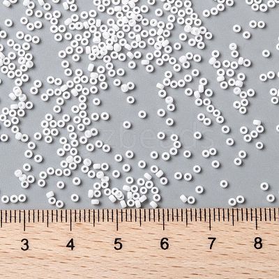 MIYUKI Round Rocailles Beads SEED-G009-RR0402F-1