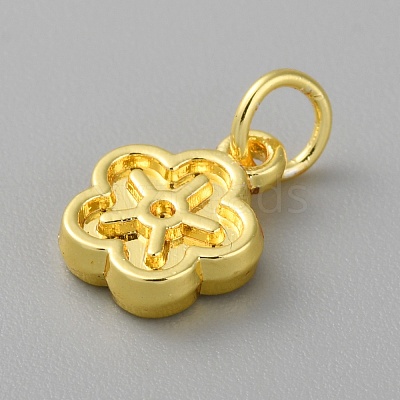 Alloy Pendants LS-FIND-WH0159-63G-30-1