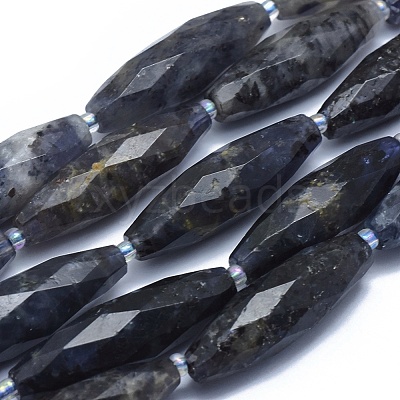 Natural Iolite Beads Strands G-O179-G22-1