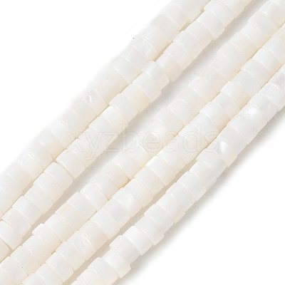 Natural Freshwater Shell Beads Strands SSHEL-C013-04B-1