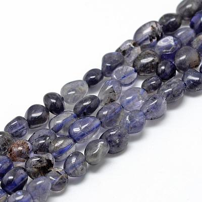 Natural Cordierite/Iolite/Dichroite Beads Strands G-R445-6x8-33-1