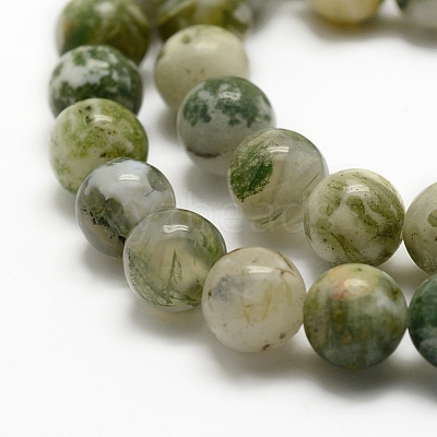 Natural Tree Agate Beads Strands G-G735-02-8mm-1