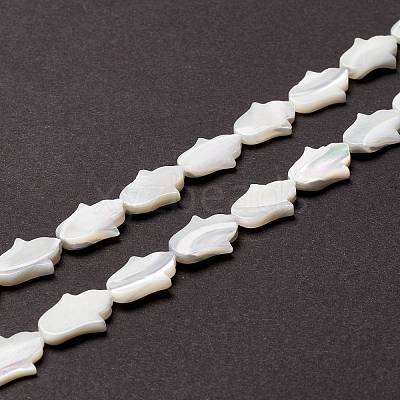 Natural Trochid Shell/Trochus Shell Beads SSHEL-O001-23B-1