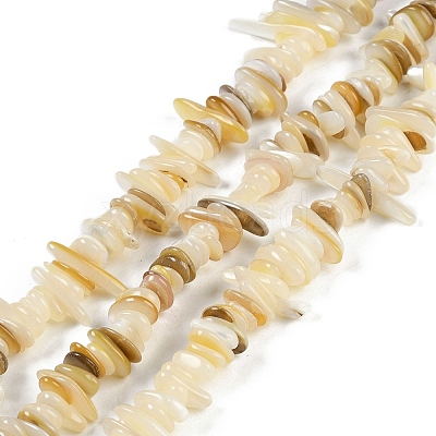 Natural Trochus Shell Beads Strands BSHE-H109-08-1