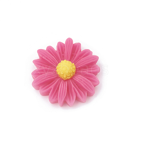 Resin Cabochons LS-CRES-N007-10B-1