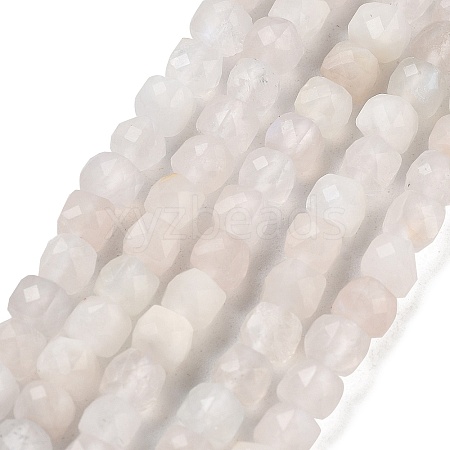 Natural Rainbow Moonstone Beads Strands G-G140-C01-01-1