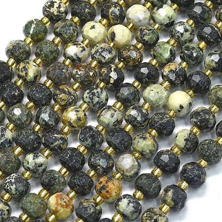 Natural African Turquoise(Jasper) Beads Strands G-K389-E71-01-1