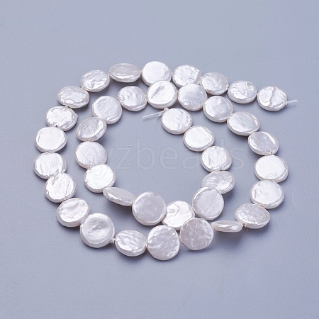 Shell Pearl Beads Strands X-BSHE-P030-01C-1