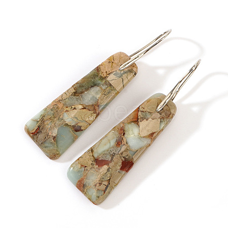 Natural Imperial Jasper Trapezoid Dangle Earrings EG8085-1-1