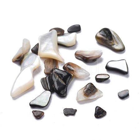 Natural Black Lip Shell Beads SSHEL-K026-02A-1