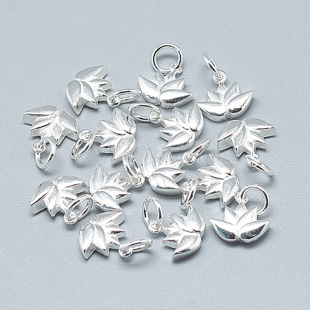 925 Sterling Silver Charms STER-T002-117S-1