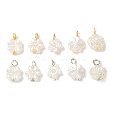 10Pcs 2 Colors Plastic Pearl Charms PALLOY-JF04027-1