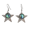 Paua Shell and 304 Stainless Steel Dangle Earrings EJEW-JE07471-03-3