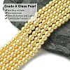 Eco-Friendly Dyed Glass Pearl Beads Strands HY-A008-6mm-RB072-3
