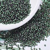 MIYUKI Delica Beads X-SEED-J020-DB0690-1