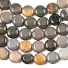 Natural Picasso Jasper Beads Strands G-L648-B03-15mm-5