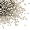 MIYUKI Round Rocailles Beads SEED-G007-RR2433-1