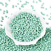 FGB Opaque Colours Glass Seed Beads SEED-Q040-07A-A05-2