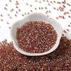 Glass Seed Beads SEED-S042-13A-17-2