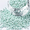 Glass Seed Beads SEED-S060-A-973-1