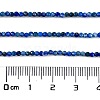 Natural Lapis Lazuli Beads Strands G-H003-B07-02-4