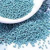 MIYUKI Delica Beads SEED-MY11-DB0375-1