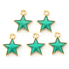 Alloy Enamel Charms ENAM-S121-024C-2