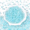 Baking Paint Transparent Glass Beads DGLA-T004-08E-1