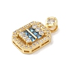 Rack Plating Brass Micro Pave Cubic Zirconia Pendants KK-A224-20G-04-2