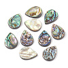 Abalone Shell/Paua Shell Beads SHEL-T005-02-1
