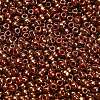 TOHO 8/0 Round Beads SEED-XTR08-1708-3