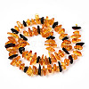 Natural Amber Beads Strands G-T138-237-2