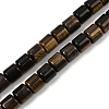 Natural Tiger Eye Beads Strands G-G275-D22-10x10mm-2