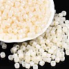 Glass Seed Beads SEED-T008-01B-1