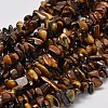 Natural Yellow Tiger Eye Chip Bead Strands X-G-L444-01-1