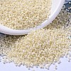 MIYUKI Delica Beads SEED-MY11-DB0157-4