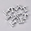 Alloy Slide Charms LS-PALLOY-WH0066-21T-2