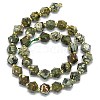 Natural Rhyolite Jasper Beads Strand G-I376-A20-01-2