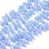 Glass Beads Strands EGLA-L020-J-2