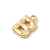 Brass Charms KK-P340-01G-B-2