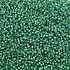 TOHO Round Seed Beads SEED-TR11-2119-2