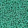 MIYUKI Round Rocailles Beads SEED-G007-RR5105-2