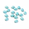 Synthetic Turquoise Cabochons TURQ-L031-036A-1