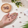 20Pcs Handmade Foil Glass Lampwork Beads LAMP-PA0001-63B-3