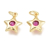 Brass Micro Pave Cubic Zirconia Charms KK-M206-30G-03-1