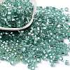 Glass Seed Beads SEED-M011-01A-13-1