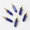Natural Lapis Lazuli Double Terminated Pointed Pendants G-G902-B02-2